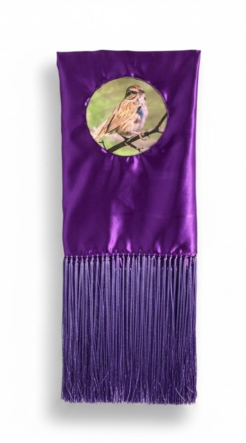 Fancy Dance Shawl — Bird & Purple Fringe